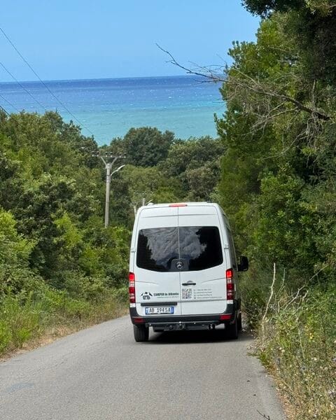 Into the Sea