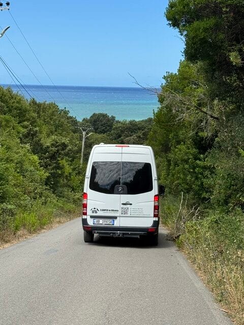 image8